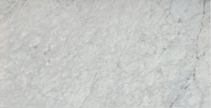 carrara-tile-style Carrara tile style