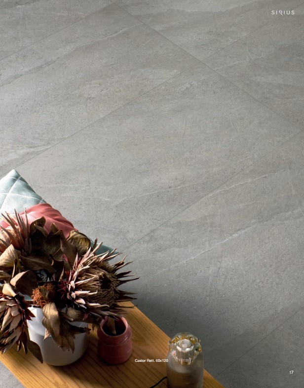 polis-castor polis castor tile