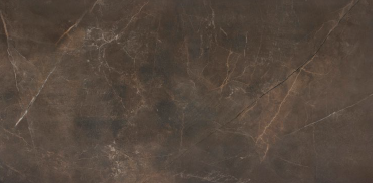 CESM.brown.sing Single Brown Stonemood Tile